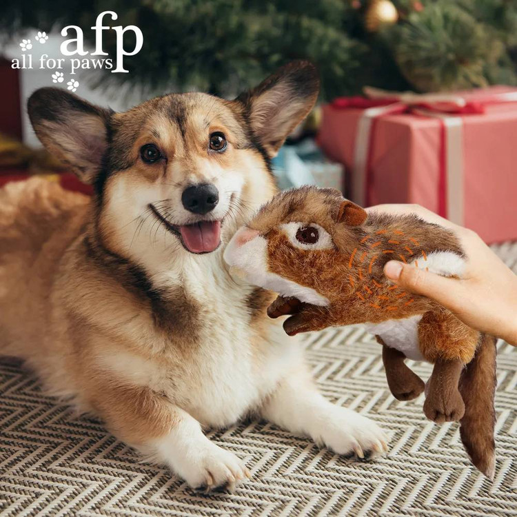 اسباب بازی جیرجیر سنجاب سگ مدل (AFP) All for Paws